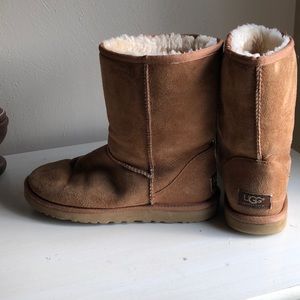 Chestnut Ugg Boots (Women’s)